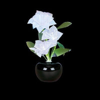 Fibre Optic Flower Light White Poinsettia Premier Warm LED Light Decoration 40cm Premier Decorations