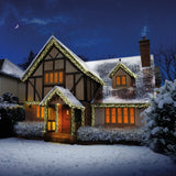 480 Premier Christmas indoor/Outdoor Cluster Timer Lights in Warm White LEDs Premier
