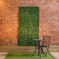 Artificial Plant Wall  Boxwood Panels for Living Walls - 100 cm x 100 cm, Premier