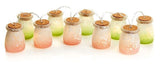 Premier 10 Frosted Coloured Glass Jars Warm White LED Christma Lights Premier
