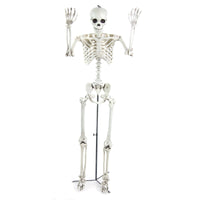 Premier 1.5m, Halloween Posable standing Skeleton Display Prop Decoration Premier