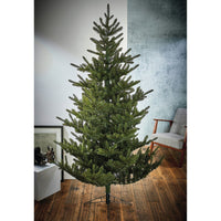 Premier Artificial Christmas Tree 2.1M Fraser Fir PE/PVC Premier