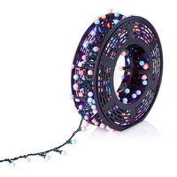 300 Rainbow LED Frosted Cap Multi Action String Light Premier