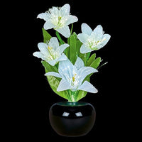 Premier 50cm High Fibre Optic White Lilies With Colour Changing Flowers Premier