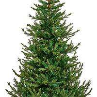 Premier Artificial Christmas Tree 2.1M Chamonix PinePE/PVC With Tree Scarf Premier