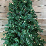 Premier 7ft Pre Lit Oregon Pine PVC Christmas tree Multi-Action Warm White LEDs Premier