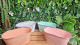 4pc Metal Plant Flower Pots Premier