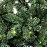 Pre-Lit Douglas Fir Christmas Tree with Multi-Function Warm White LEDs 2.1M Premier