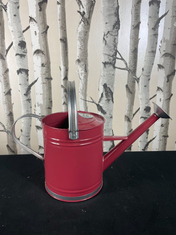 New 3.5L Strong Metal Watering Can With Fixed Handle or Silver Trim Red & silver The Outdoor Living Company
