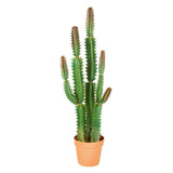Artificial Plants Cereus Cactus 101cm Features The Outdoor living company