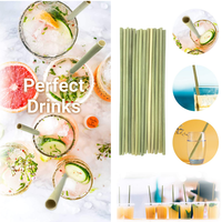 Drinking Biodegradable Reusable Eco Friendly Sustainable Grass Cocktail Straws