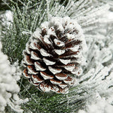 2.1m / 7ft Lumi Spruce Cones PVC Green Christmas Xmas Tree Indoor Natural Look - Retail ABC - Branded Goods - Discount Prices