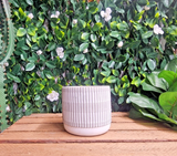 Cement Candle Scented Citronella Home & Garden TJM