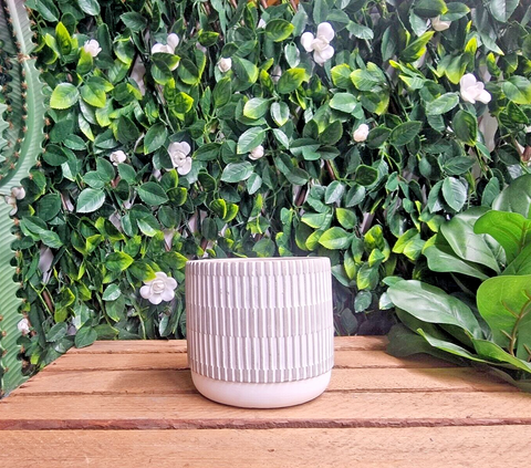 Cement Candle Scented Citronella Home & Garden TJM