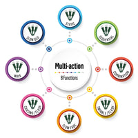 Premier 200 Multi-Action Xmas Lights  LED Supabrights Multi Premier Decorations