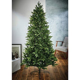 7ft Springfield Fir Christmas Tree Premier