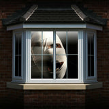 12 x CHRISTMAS & HALLOWEEN FX Projector Video Files Window Display -VIDEOS ONLY! Premier