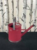 New 3.5L Strong Metal Watering Can With Fixed Handle or Silver Trim Red & silver The Outdoor Living Company