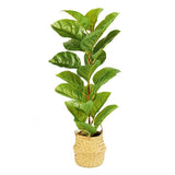 2 x Artificial Tree 66cm Decorative Tree in Pot with Straw Basket The Outdoor living company