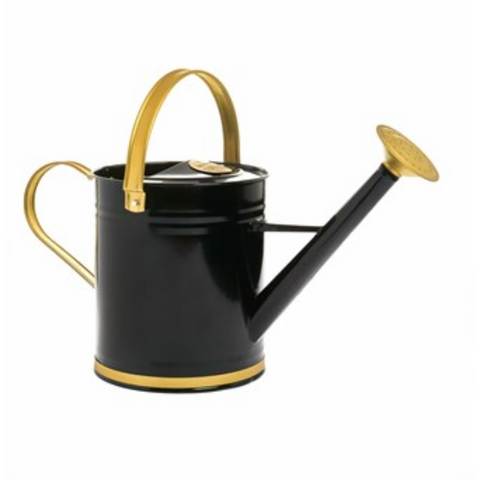 3.5 Ltr  Black Watering Can With Gold Accent Strong Metal With Fixed Handle CAN