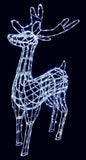 Premier 1.5m Mains Operated Indoor & Outdoor Acrylic Standing Christmas Reindeer Premier