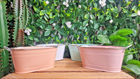 4pc Metal Plant Flower Pots Premier