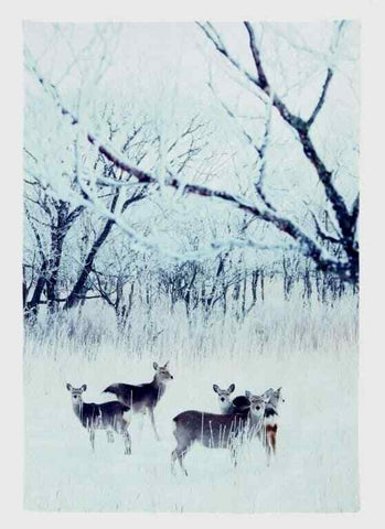 HUGE! 210x140cm Deer in Meadow Picture Fabric Backdrop Christmas Wall Decoration - Retail ABC - Branded Goods - Discount Prices