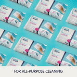 12 Pack of Biodegradable Wipes Large Hand Surface Cleaning AntiBak 63 Wipes Bulk Detox