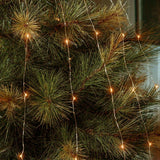 12 Strands of Festive Copper Wire 300 LED Amber Branch Lights 2.5m Festive Productions
