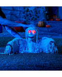 Ground Breaker Animated Head & Arms Flashing Red Eye Scary Sound Halloween Party - Retail ABC - Branded Goods - Discount Prices
