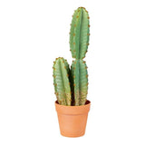 Artificial  50cm Cereus Cactus in Plastic Pot home garden Premier
