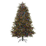 RAINBOW TreeBrights Premier 1000 LED Multi-Action Christmas Tree Lights Premier