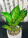 35cm Leaf Design UK Realistic Large Artificial Foliage Plant with Cement Pot Leaf
